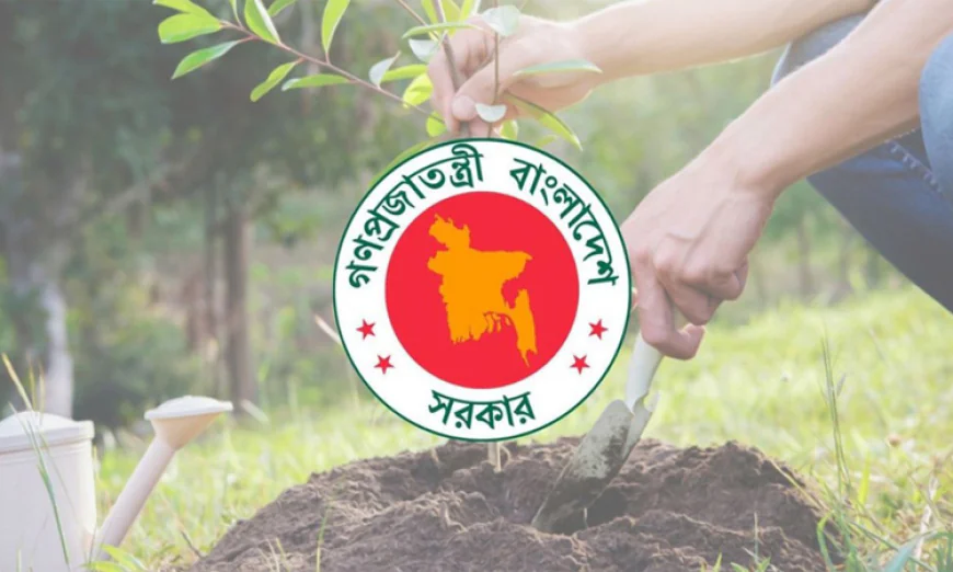 Bangladesh Eyes $1bn Annual Carbon Credit Revenue from Massive Tree Plantation Drive