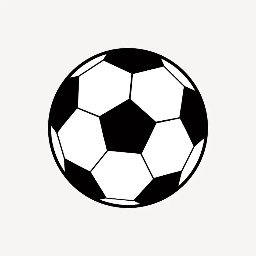 Chapainawabganj district team crowned champions