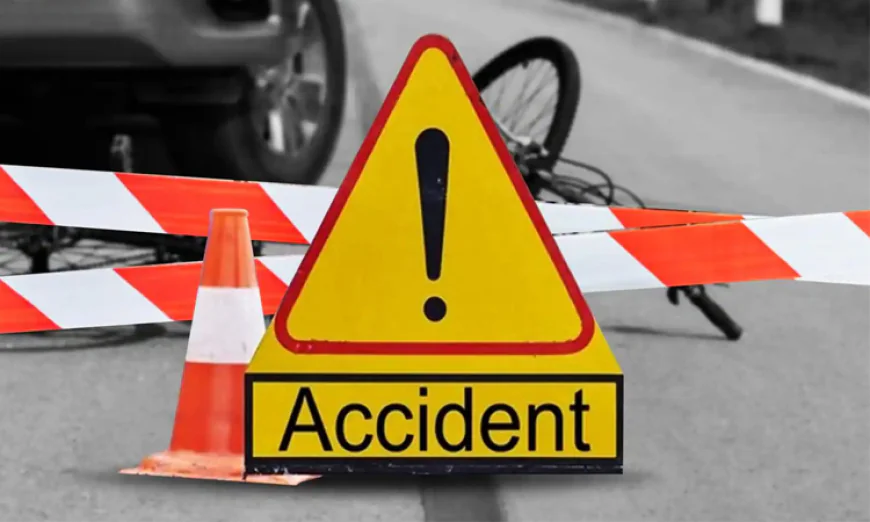 One killed in Gopalganj road crash