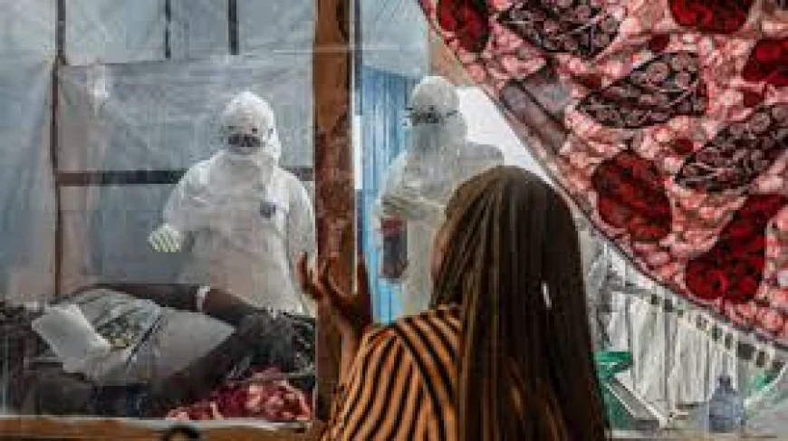 WHO: Ebola therapeutics trials to begin in DRC next week