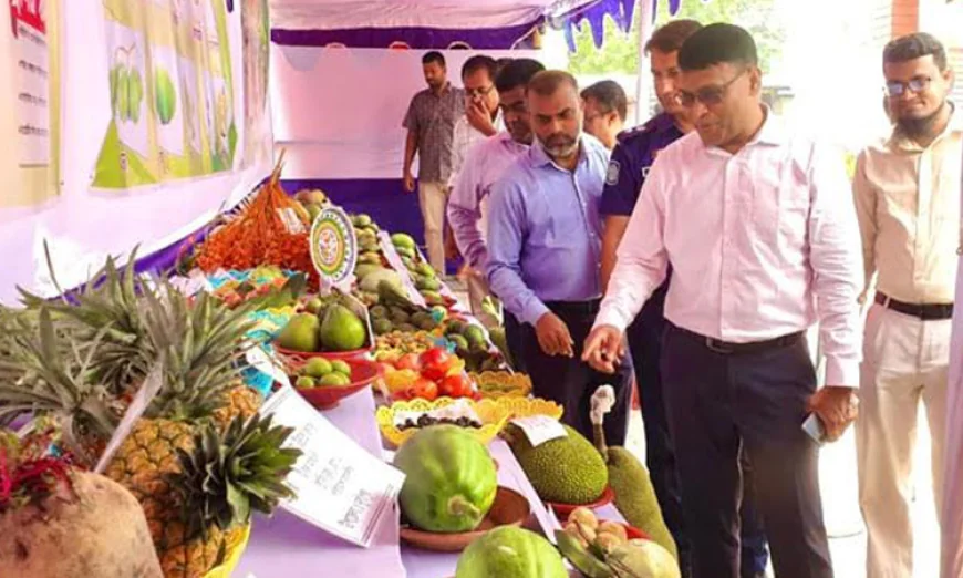 Fruit Fair Kicks Off in Rajshahi