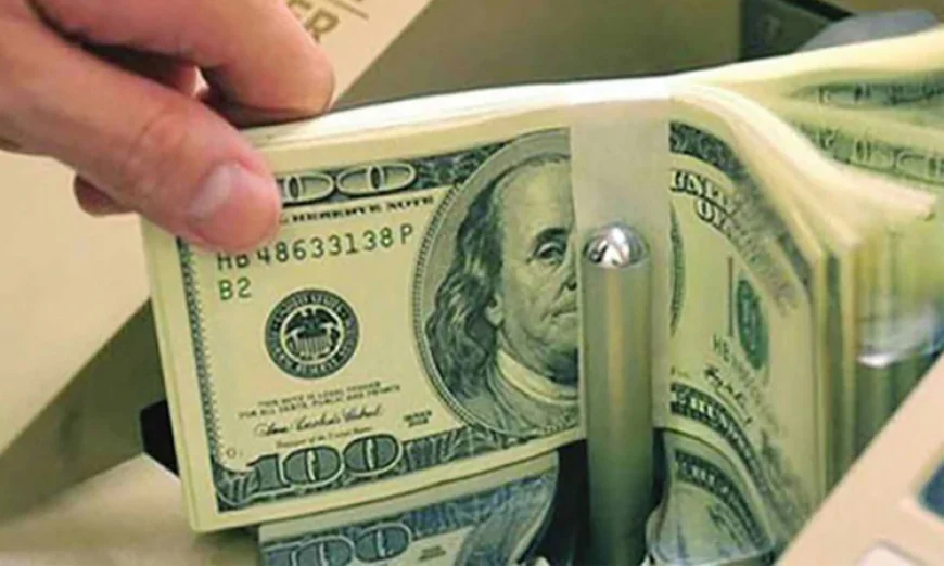 Remittance inflow rises 17.3pc till June 27 in FY26