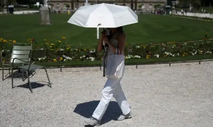 WHO: Over 1,300 excess deaths recorded in Europe heatwave
