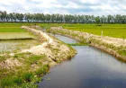 Re-Excavation, Monsoon Rains Revive Two ‘Dead’ Canals in Naogaon
