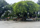 Rajshahi's Shimla Park Declared Biodiversity Conservation Area
