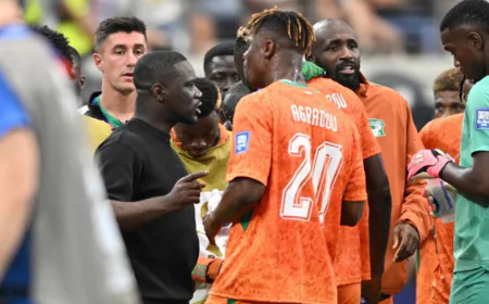 Ivory Coast Coach Blames 'Lack of Maturity' for World Cup Exit