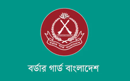 BGB Seizes Smuggled Goods Worth Tk 1.41 Crore in Brahmanbaria, Cumilla