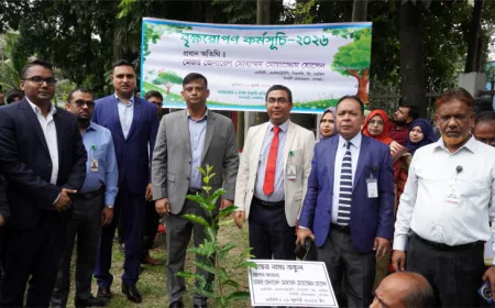 BEPZA Launches Tree Plantation Programme Across EPZs