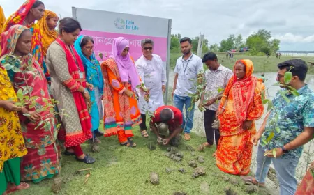 Special mangrove plantation drive launched in Mongla