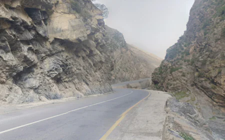 40 killed as bus plunges into ravine in Pakistan: officials