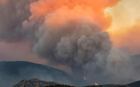 Thousands Flee Raging Wildfires Across Southern Europe