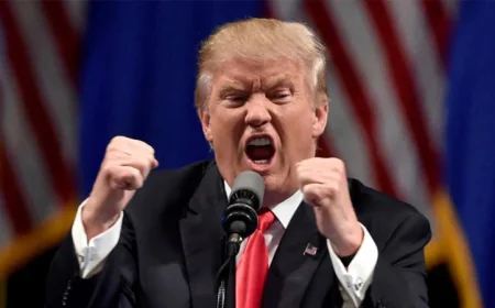 NATO Allies Seek to Win Over Trump After Iran Tensions