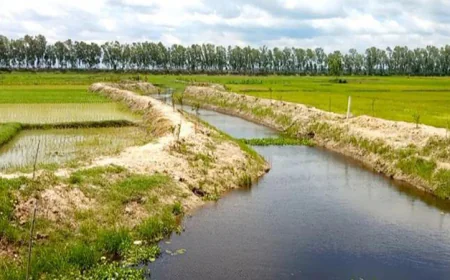 Re-Excavation, Monsoon Rains Revive Two ‘Dead’ Canals in Naogaon