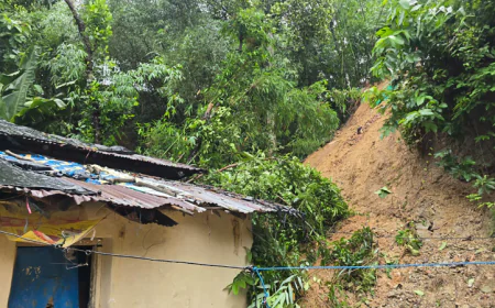 Five killed in separate landslides in Bandarban