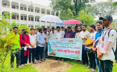 Lalmonirhat launches drive to sow 100,000 date palm seeds