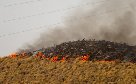 Deadly Spain wildfire situation improving, official says