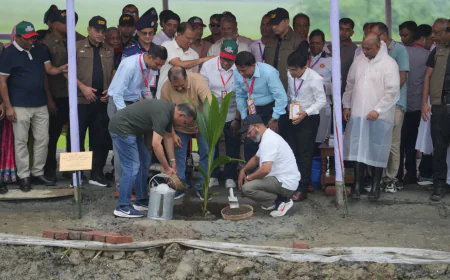 PM inaugurates tree plantation campaign in Gournadi