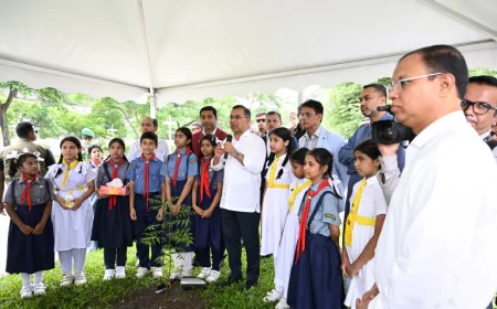 PM urges collective efforts to build a greener Bangladesh