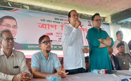 Govt prioritises post-flood rehabilitation in affected districts: Dulu