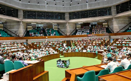Probe Into Awami League as a Party Underway
