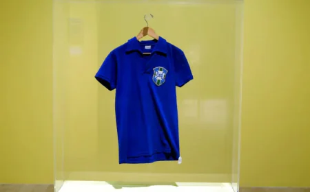 Pele's World Cup jersey sells for $4.9m at US auction