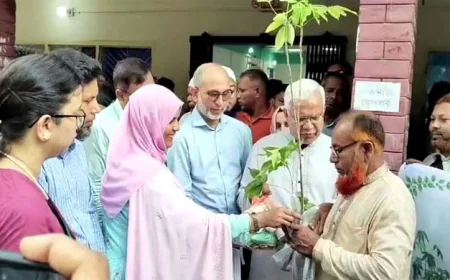 Zahid urges greater focus on cotton cultivation among farmers