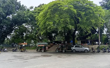 Rajshahi's Shimla Park Declared Biodiversity Conservation Area