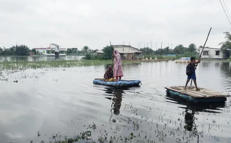 Satkhira Administration Warns Fish Farm Owners Over Waterlogging Crisis