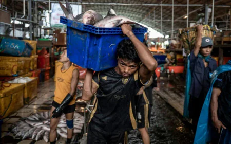 Yangon’s bustling fish markets thrive on booming trade