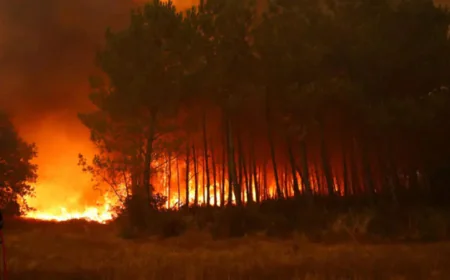 Residents Return After Wildfire Near Madrid