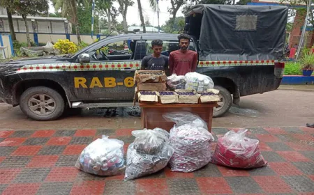 Two Held in Satkhira with Drugs and Illegal Indian Products