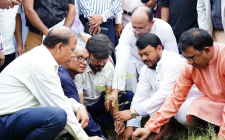 Jatiyatabadi Peshajibi Dal Launches Tree Plantation Programme in Rajshahi
