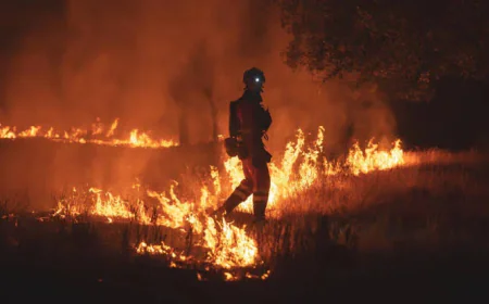 Firefighters Battle to Prevent Wildfires Merging Near Madrid