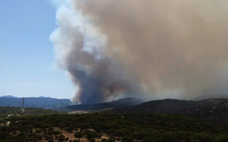 Spain Warns Strong Winds Could Worsen Wildfire