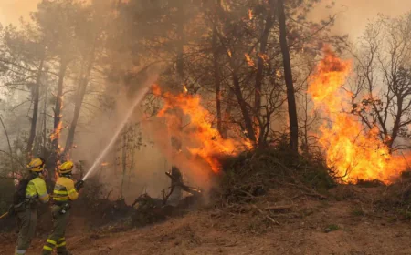 Wildfires Force Nearly 260,000 to Flee in France and Spain
