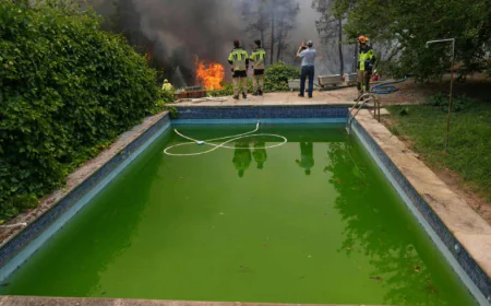 Europe Wildfires: Latest Developments
