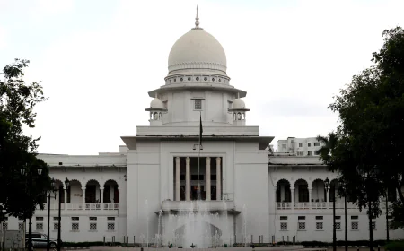 HC Seeks Probe Report on Microplastics in Toothpaste Within 15 Days
