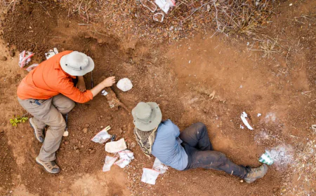 Scientists Discover 210-Million-Year-Old Dinosaur in Zimbabwe