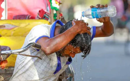 Extreme Heat Threatens South Asia’s Jobs and Growth: WB