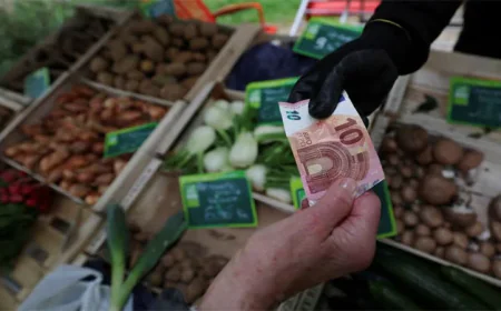 French Economy Returns to Growth in Second Quarter: Data