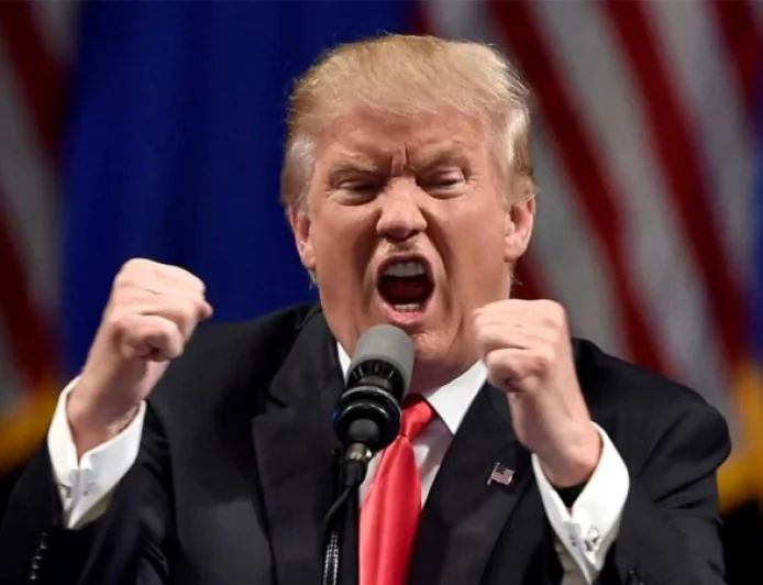 NATO Allies Seek to Win Over Trump After Iran Tensions