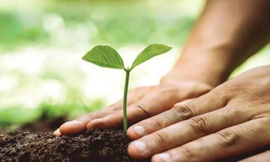 'Tree Monitoring App' to Digitally Track Nationwide Afforestation Drive