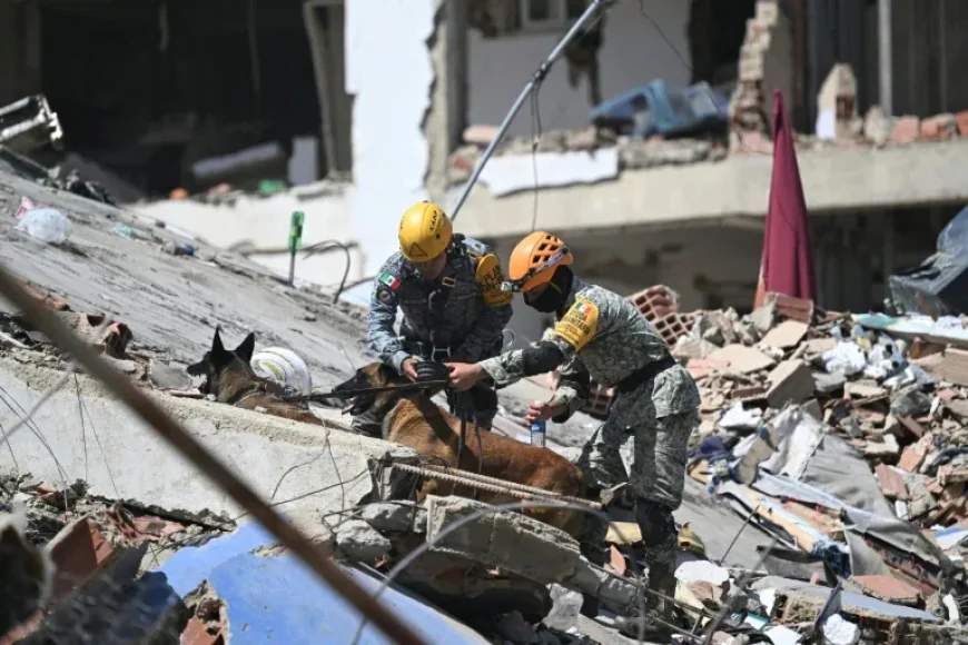 Hope Fades, Hunger Grows a Week After Venezuela Quakes