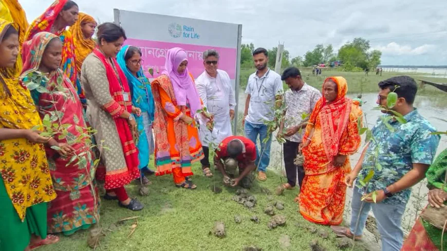 Special mangrove plantation drive launched in Mongla