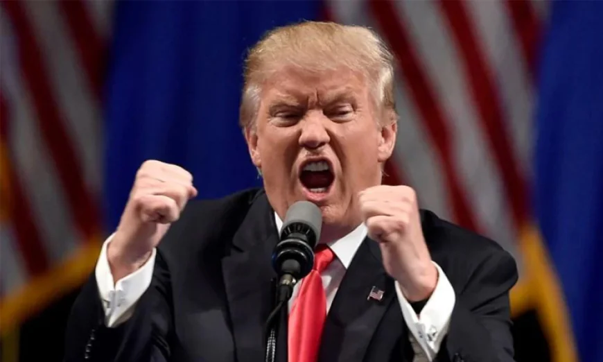 NATO Allies Seek to Win Over Trump After Iran Tensions