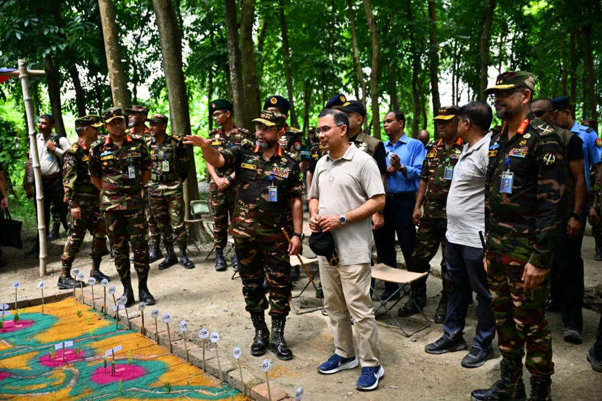 PM Visits Bangladesh Army's Summer Exercise
