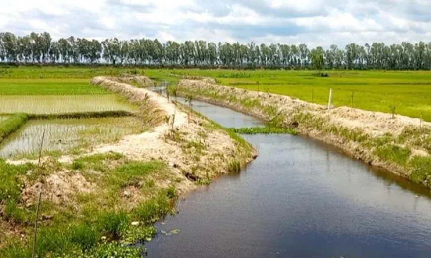 Re-Excavation, Monsoon Rains Revive Two ‘Dead’ Canals in Naogaon