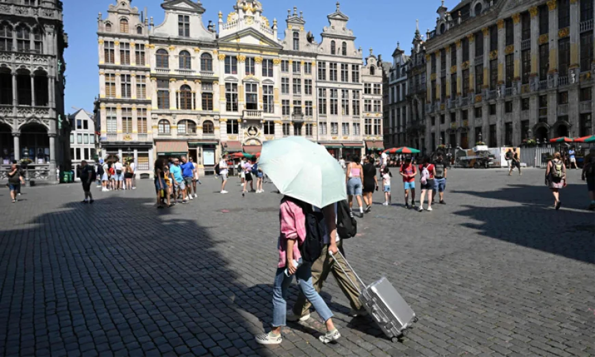 Belgium heatwave death toll exceeded estimates in June