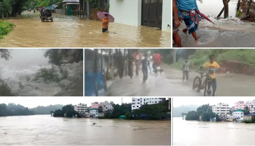 Experts Urge Resilient Urban Planning, Waterway Restoration to Curb Flood Risks