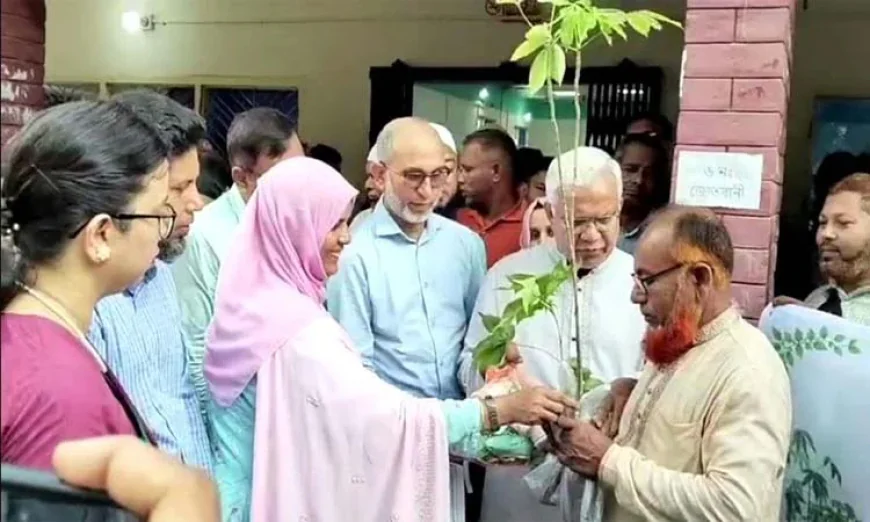 Zahid urges greater focus on cotton cultivation among farmers